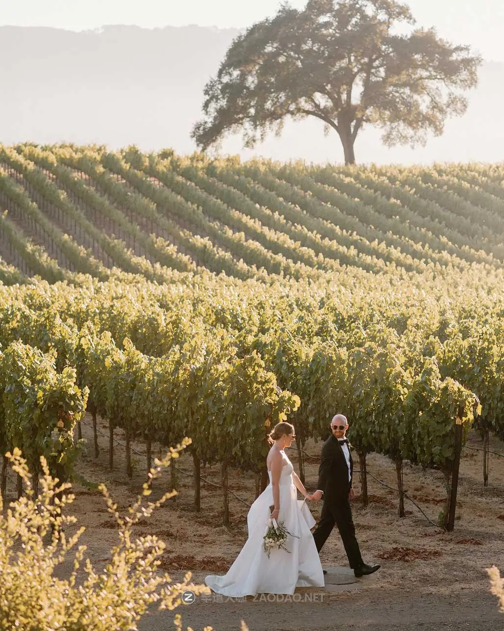 时尚纯白柔和肤色冷色调绿色暖色调婚礼摄影照片调色LR预设 Peyton Byford – Tuscany collection插图13 时尚纯白柔和肤色冷色调绿色暖色调婚礼摄影照片调色LR预设 Peyton Byford – Tuscany collection插图13