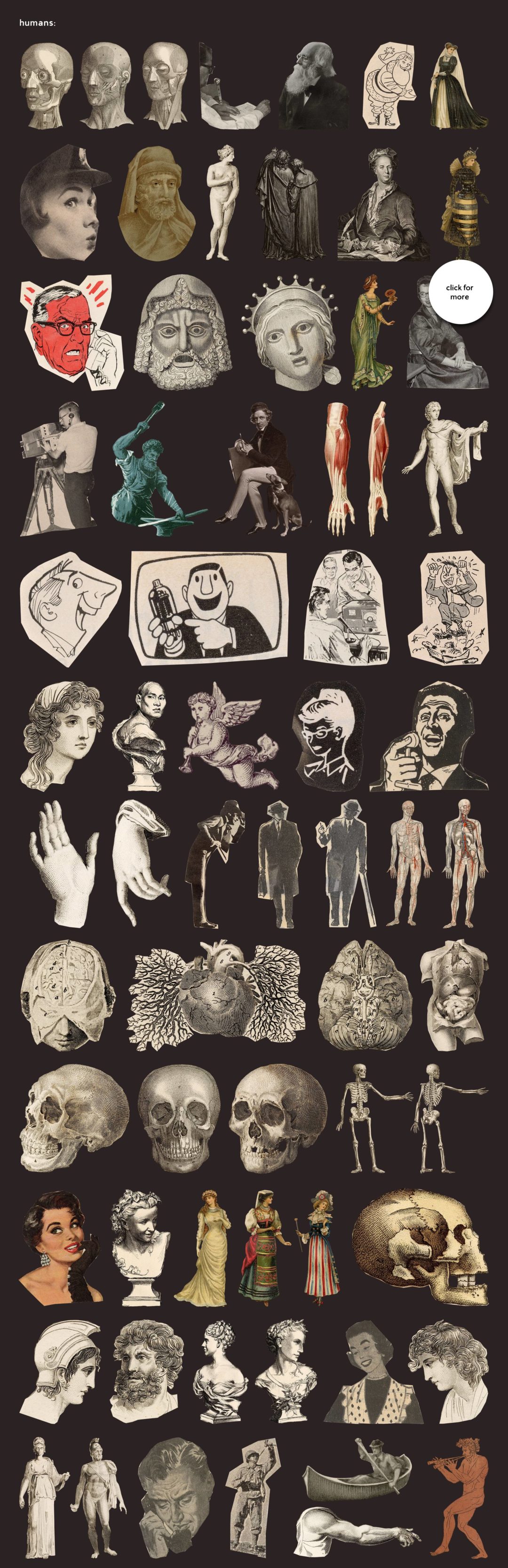 humans-main-