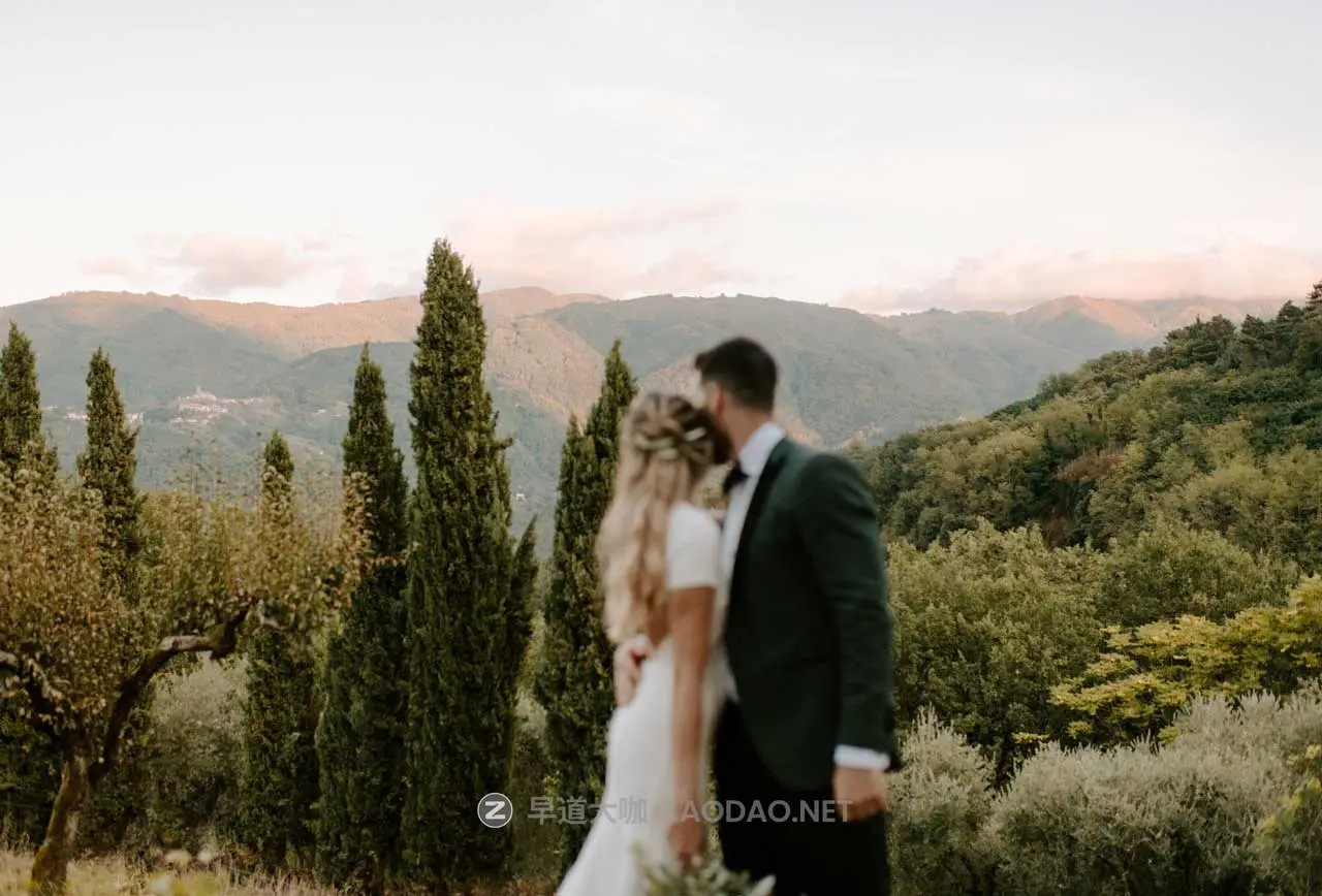 时尚纯白柔和肤色冷色调绿色暖色调婚礼摄影照片调色LR预设 Peyton Byford – Tuscany collection插图15 时尚纯白柔和肤色冷色调绿色暖色调婚礼摄影照片调色LR预设 Peyton Byford – Tuscany collection插图15