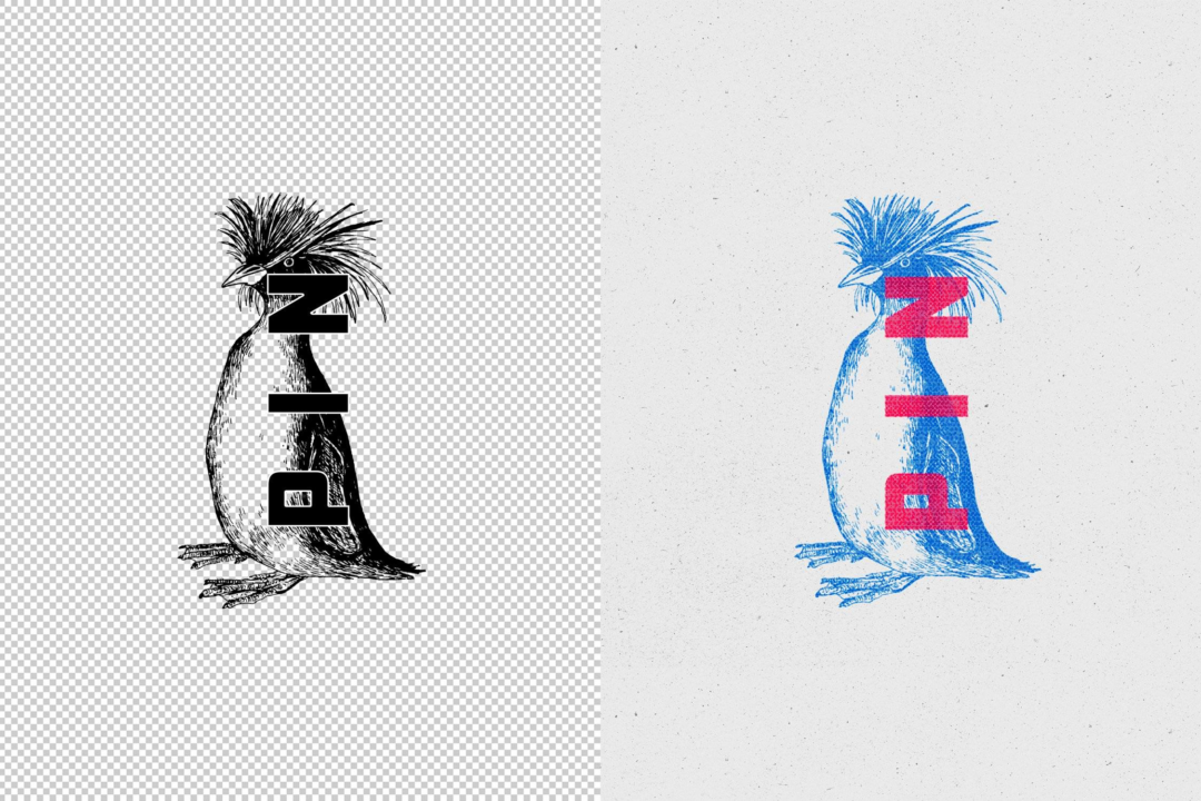 overprint-photo-effect-2-