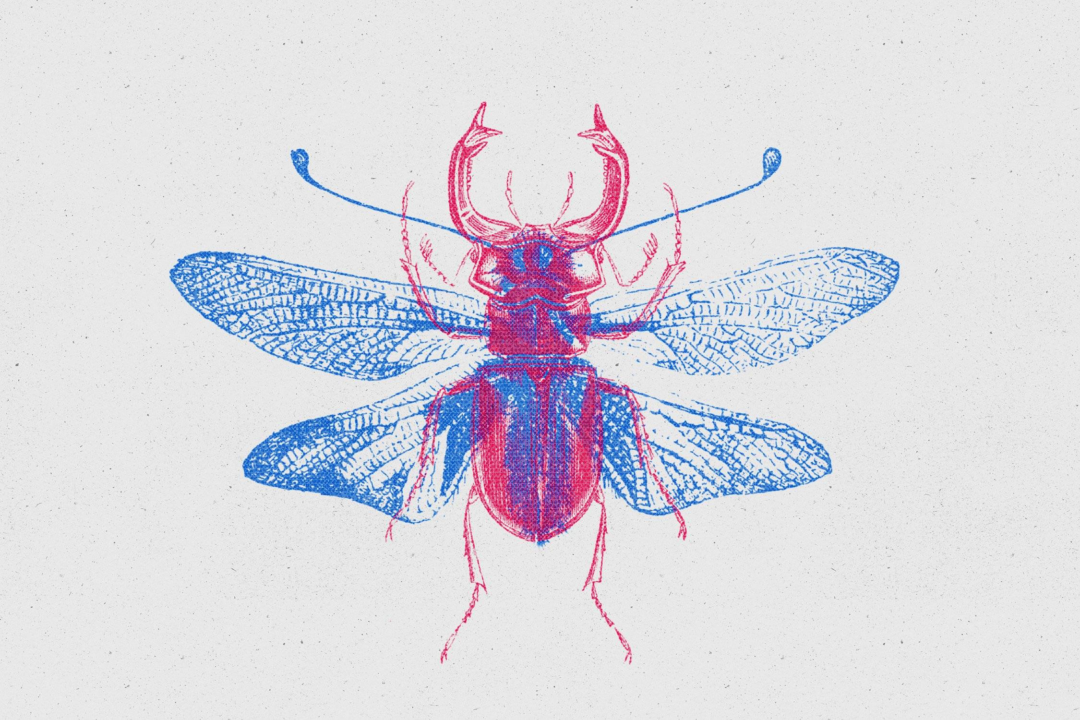 overprint-photo-effect-3-