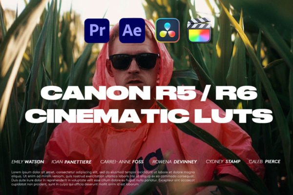 LUTs预设 电影质感佳能R5/R6色彩还原C-Log3视频影片调色 CMG Canon R5 / R6 Cinematic LUTs