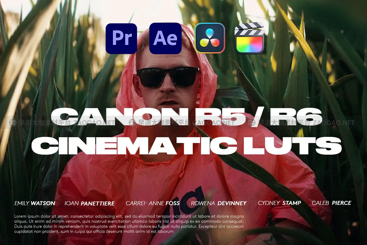 LUTs预设 电影质感佳能R5/R6色彩还原C-Log3视频影片调色 CMG Canon R5 / R6 Cinematic LUTs插图