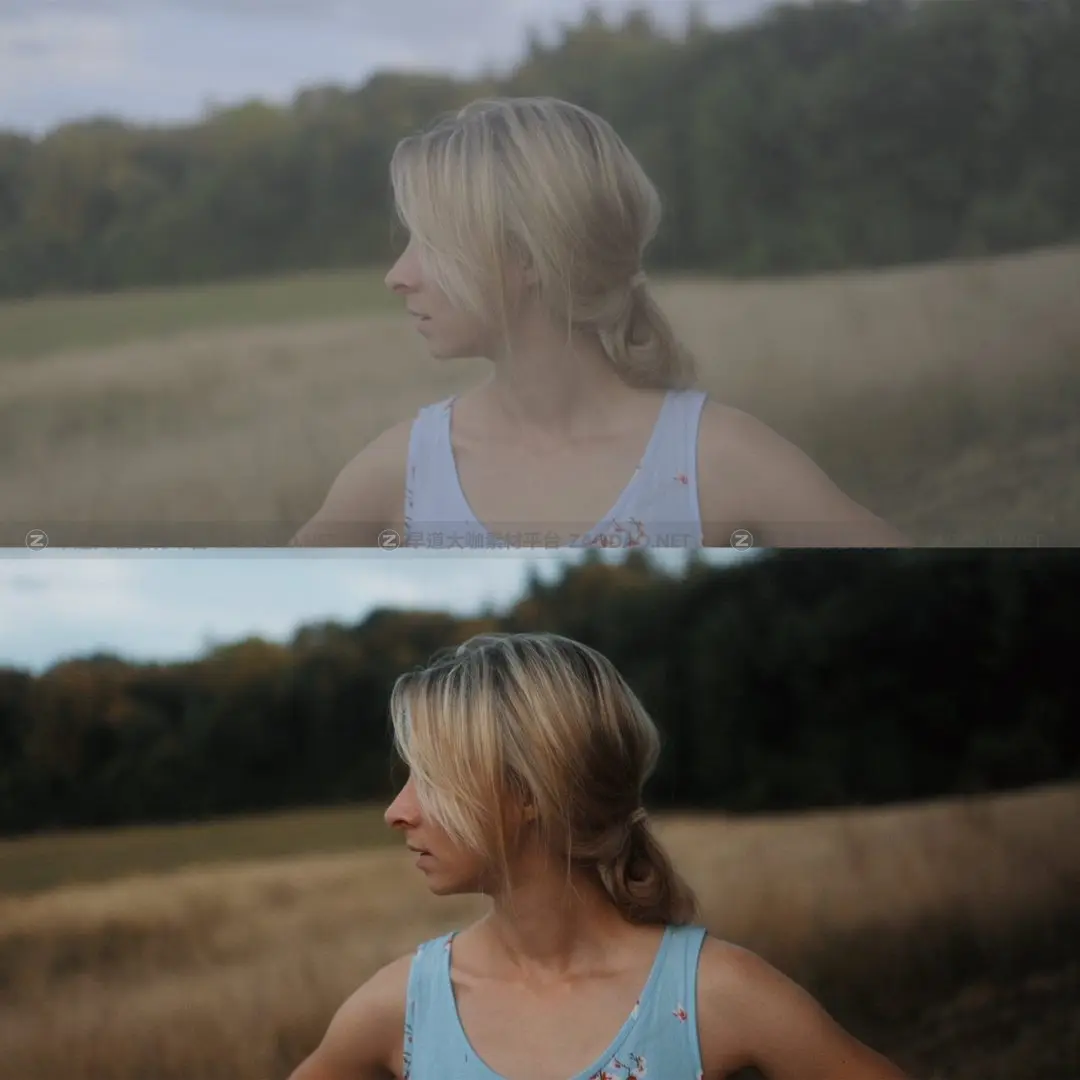 canon-r5-cinematic-luts-christian-mate-grab-423900