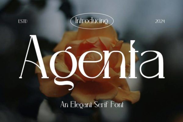 现代奢华杂志海报博客标题徽标LOGO设计PS英文字体安装包 Agenta – Elegant Serif Font