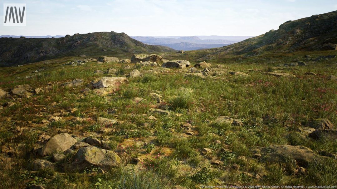 MAWIMeadowWetlandLandscapeV3Screenshot0004-1920x1080-2afbcb1a7809d456ab273671cf3dadcb