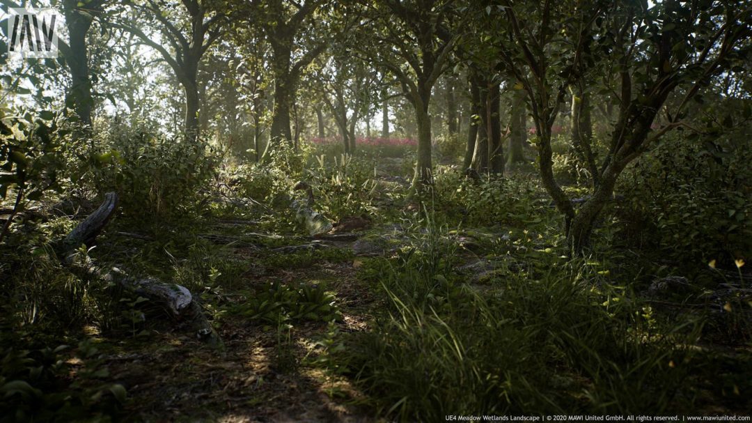 MAWIMeadowWetlandLandscapeV3Screenshot0006-1920x1080-767aec0e073b02579dd36eb65f83438a