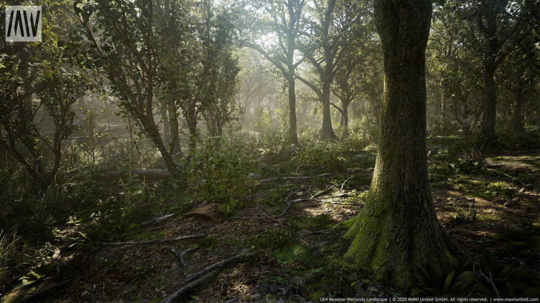 MAWIMeadowWetlandLandscapeV3Screenshot0007-1920x1080-d9c4d311cd3f8edbf631b065af13410e