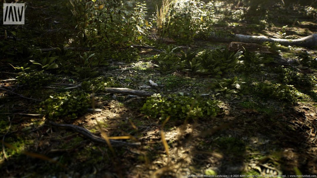 MAWIMeadowWetlandLandscapeV3Screenshot0008-1920x1080-c9d388dc015512da6fbbb4a7fa1b8349