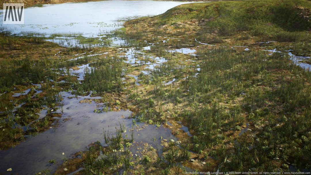 MAWIMeadowWetlandLandscapeV3Screenshot0011-1920x1080-10a3b49fda830f67142dfe053dbfb723