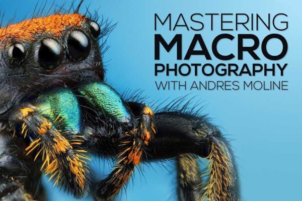 大神课程 微距拍摄昆虫花朵珠宝摄影技巧视频教程 Fstoppers – Mastering Macro Photography – The Complete Shooting and Editing Tutorial – Andres Moline