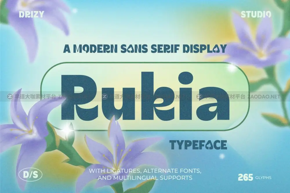 现代日式风杂志海报徽标设计无衬线英文字体安装包 Rukia Modern Sans Serif Font插图