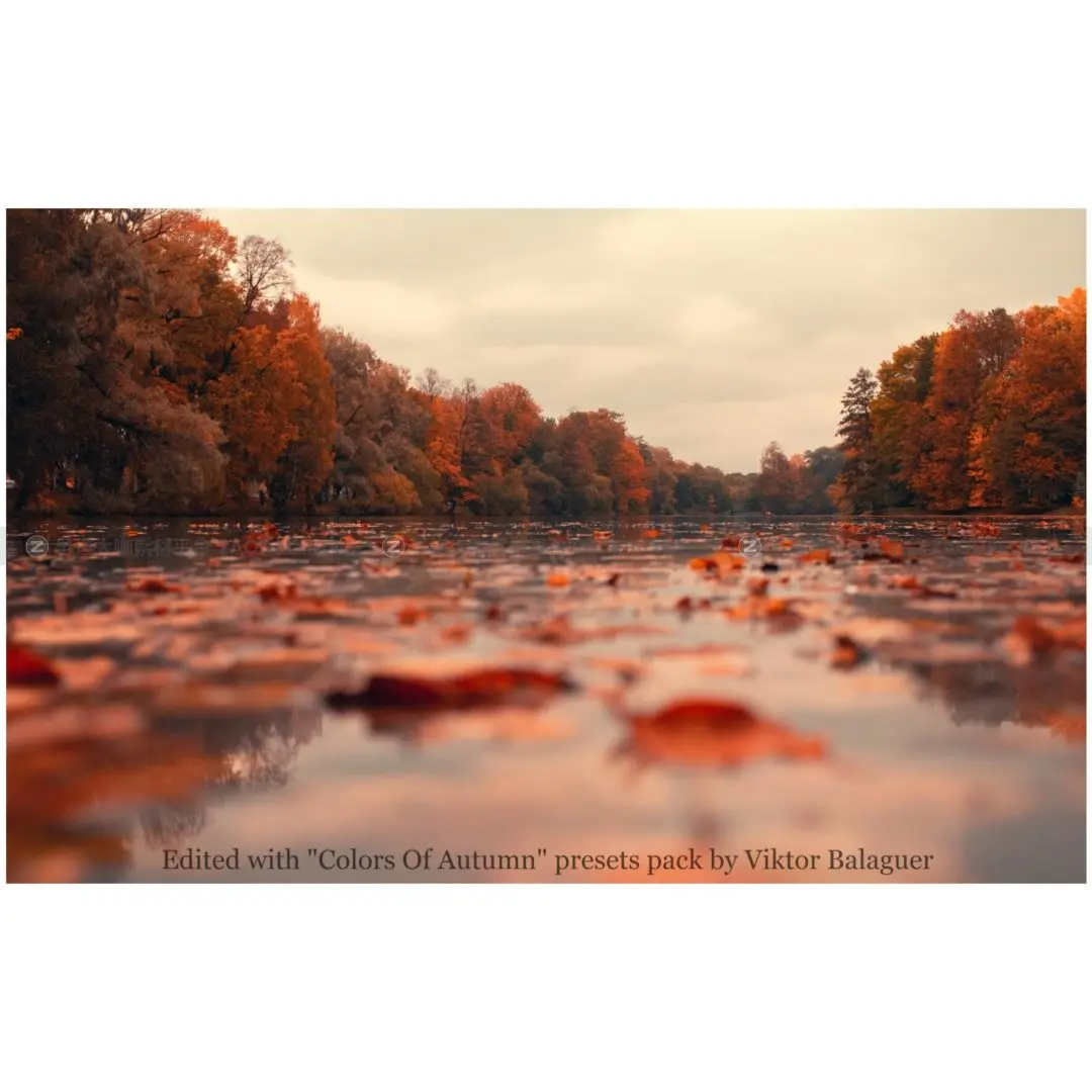 preset_autumn_canvas-07