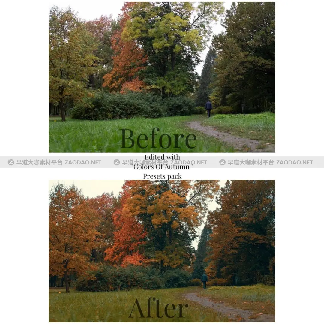 preset_autumn_canvas-15