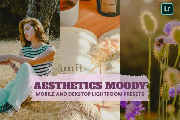 7组明亮现代博主旅行摄影照片调色LR预设包 Aesthetic Moody Lightroom Presets Dekstop Mobile