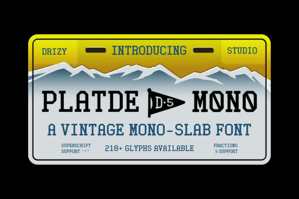 复古美式杂志海报徽标设计衬线英文字体安装包 Platde Vintage Mono Slab Font插图