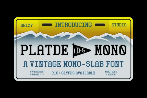 复古美式杂志海报徽标设计衬线英文字体安装包 Platde Vintage Mono Slab Font
