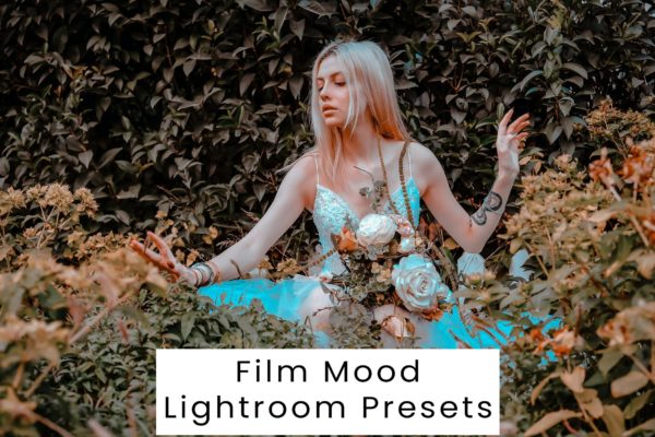 复古怀旧电影博主婚礼摄影照片Lightroom调色预设 Film Mood Lightroom Presets