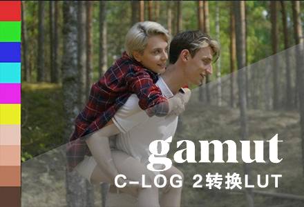 佳能C-Log 2色彩还原视频调色LUT预设 Gamut – Canon BaseLUTs for C-Log 2