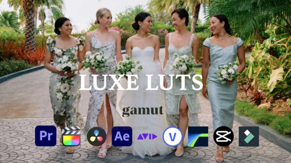 优雅轻奢清新婚礼旅拍人像摄影色彩分级LUT调色预设 Gamut – Luxe