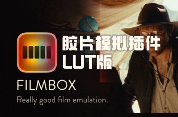 复古电影美学胶片模拟插件LUT版本(非插件)索尼/富士/松下/佳能/大疆/调色预设 Filmbox LUT