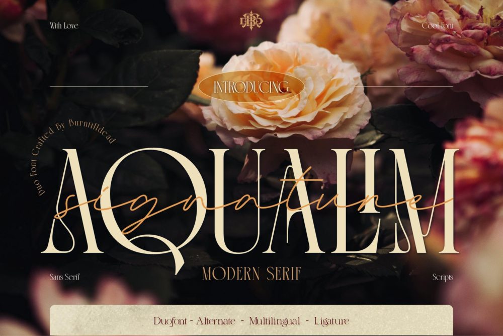 优雅美学杂志海报徽标婚礼设计衬线英文字体安装包 Aqualim Signature插图