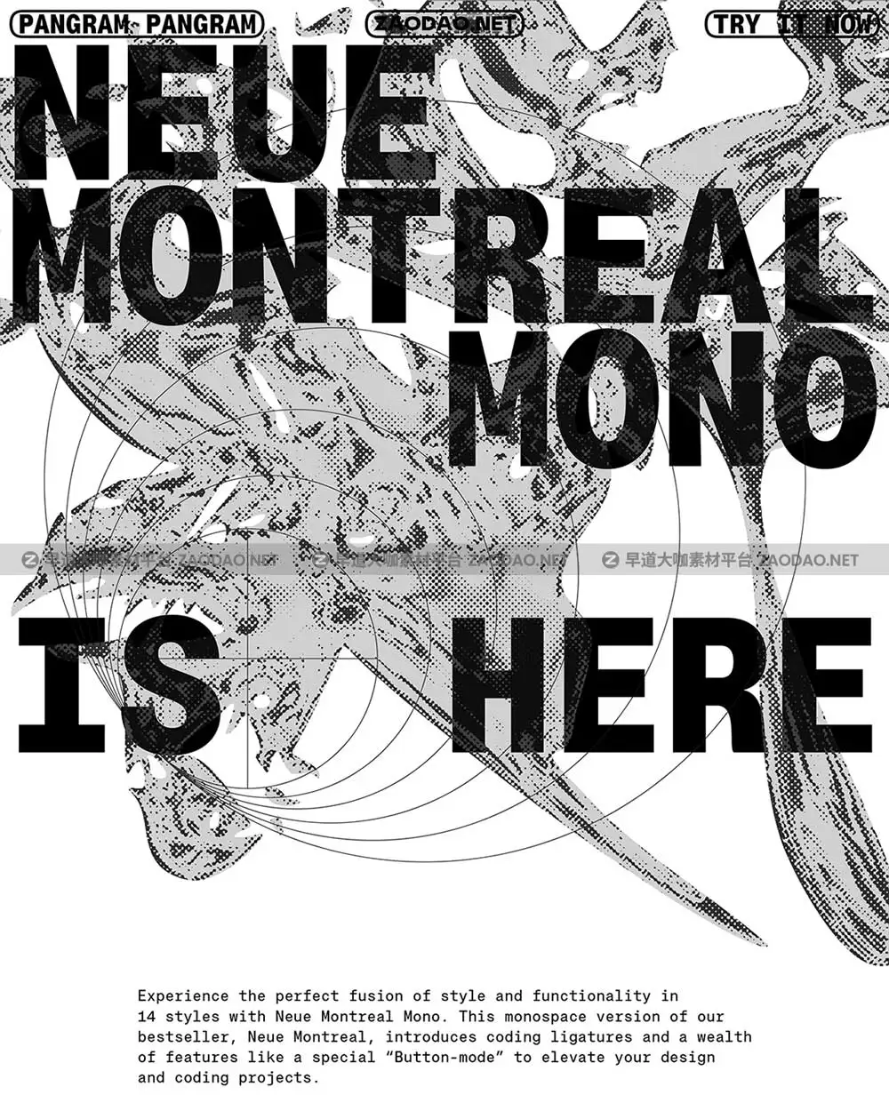 现代美学等宽几何风前卫视觉海报杂志标题LOGO设计PSAI英文字体安装包 Neue Montreal Mono by Pangram Pangram插图