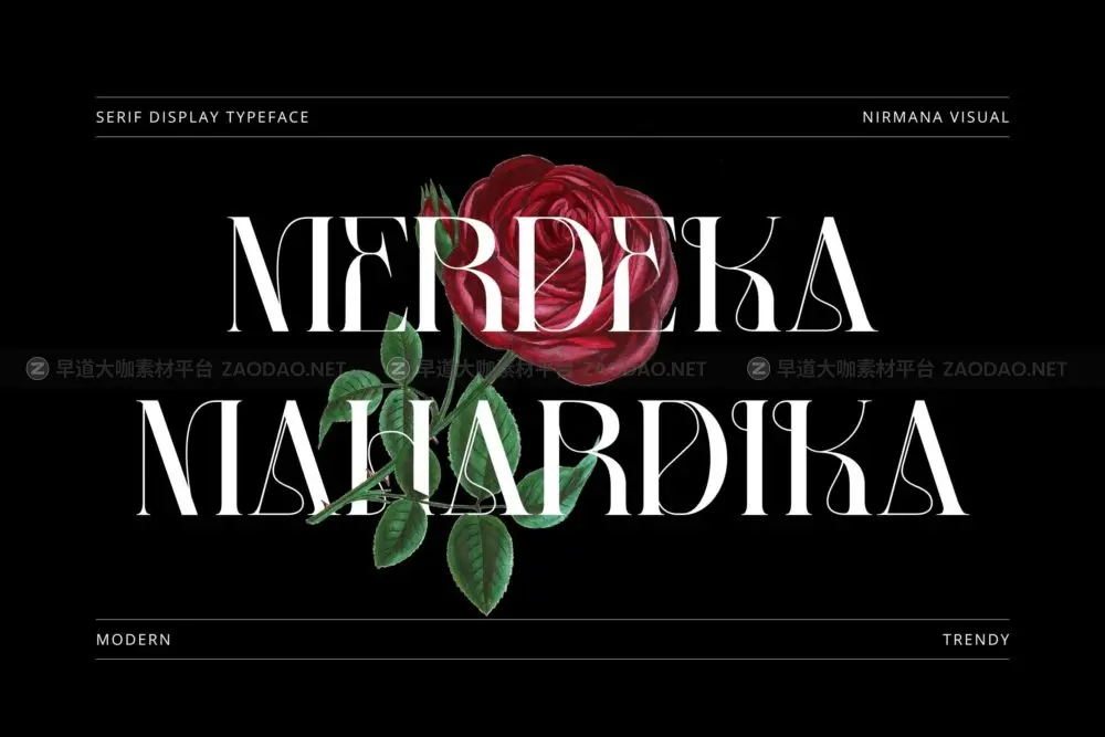 优雅复古杂志品牌包装徽标设计衬线英文字体安装包 Merdeka Mahardika – Logo Font插图