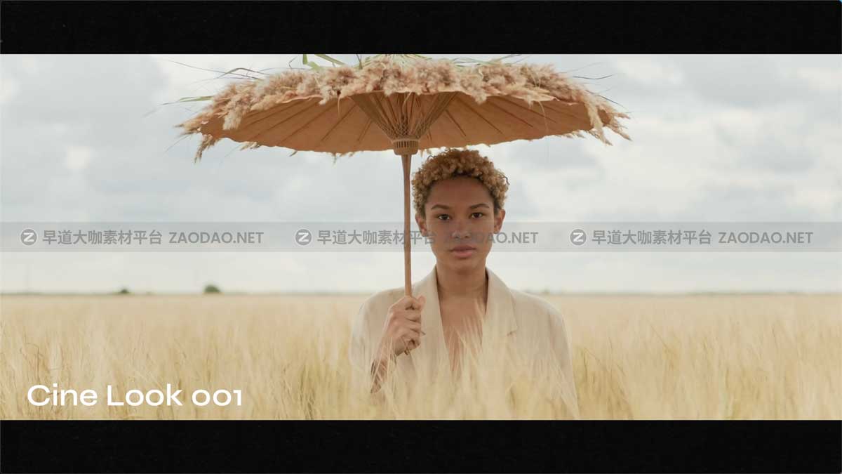 15款电影美学胶片模拟橙色色调视频调色LUTs预设 Cinematic Look LUTs插图1
