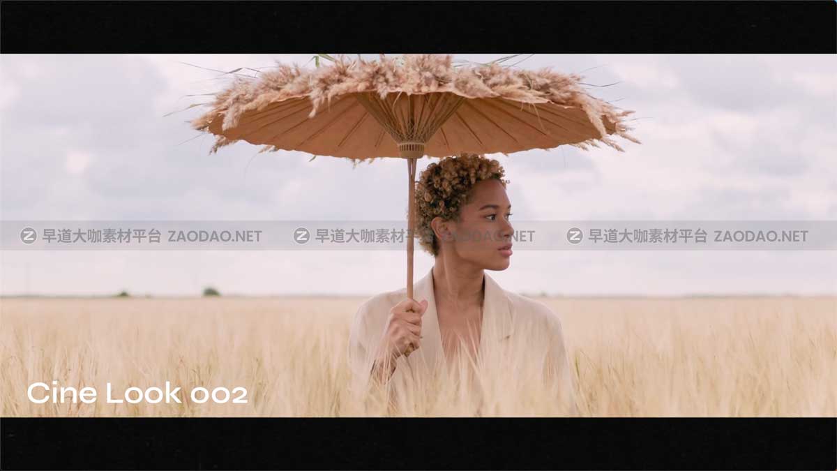 15款电影美学胶片模拟橙色色调视频调色LUTs预设 Cinematic Look LUTs插图2