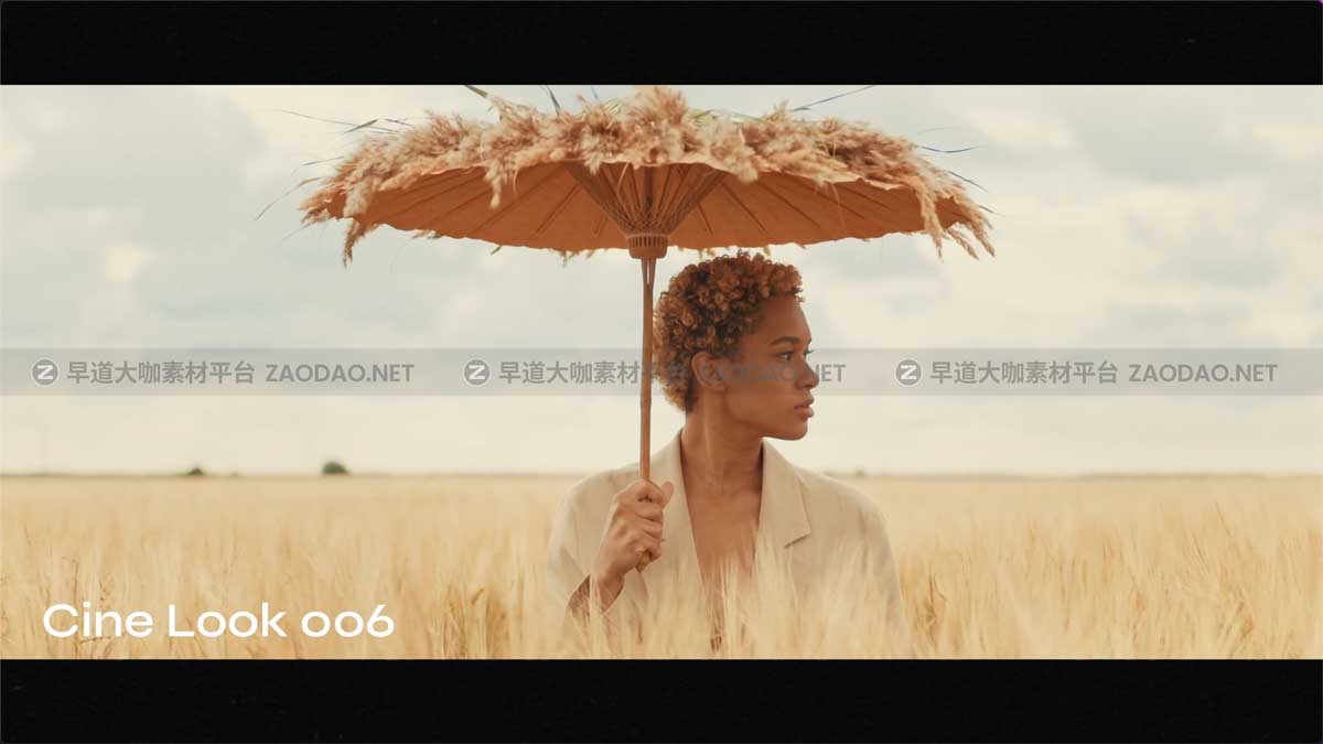 15款电影美学胶片模拟橙色色调视频调色LUTs预设 Cinematic Look LUTs插图3