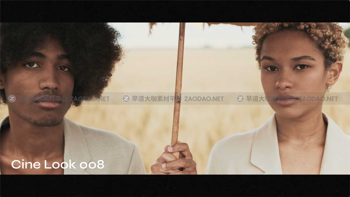 15款电影美学胶片模拟橙色色调视频调色LUTs预设 Cinematic Look LUTs插图6