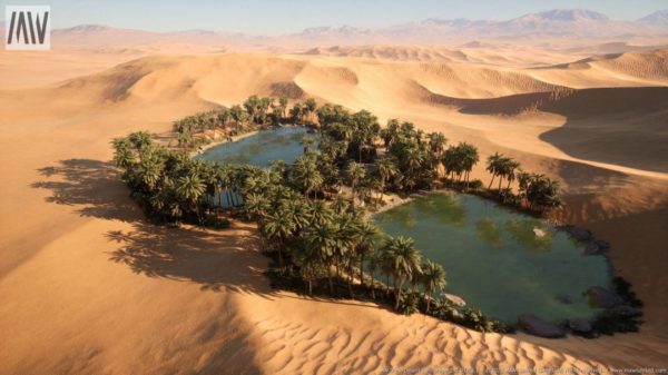 UE素材 沙漠戈壁绿洲椰子棕榈树湖泊场景3D模型素材 Unreal Engine – Dune Desert Landscape