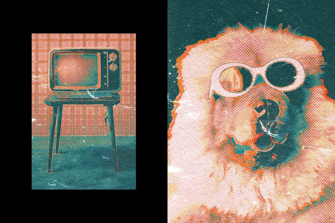 20240626vhbpi