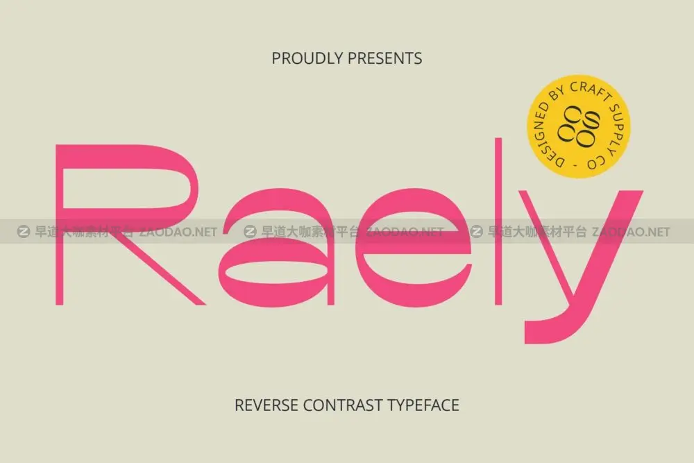 时尚复古品牌海报徽标设计无衬线英文字体安装包 Raely – Reverse Contrast Font插图