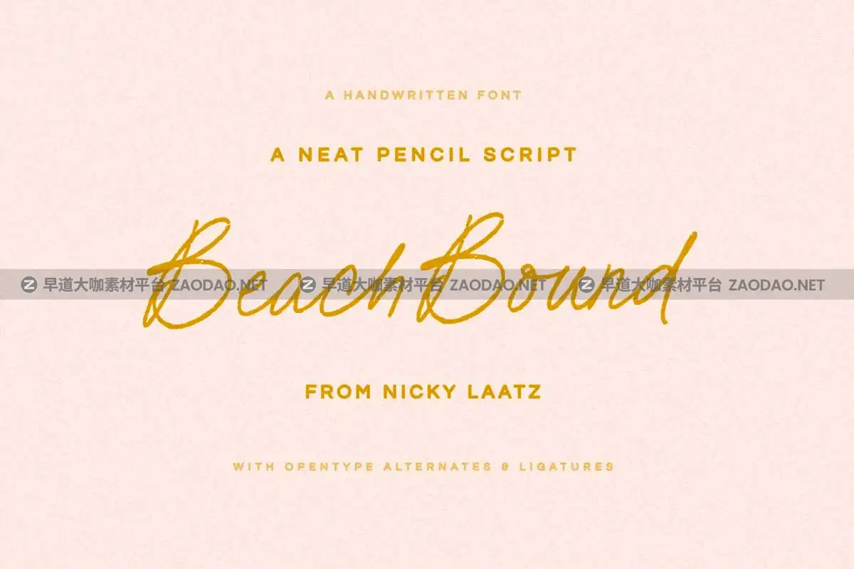 时尚优雅女性化手写铅笔签名包装品牌设计PSAI英文字体安装包 Beach Bound Script Typeface插图14