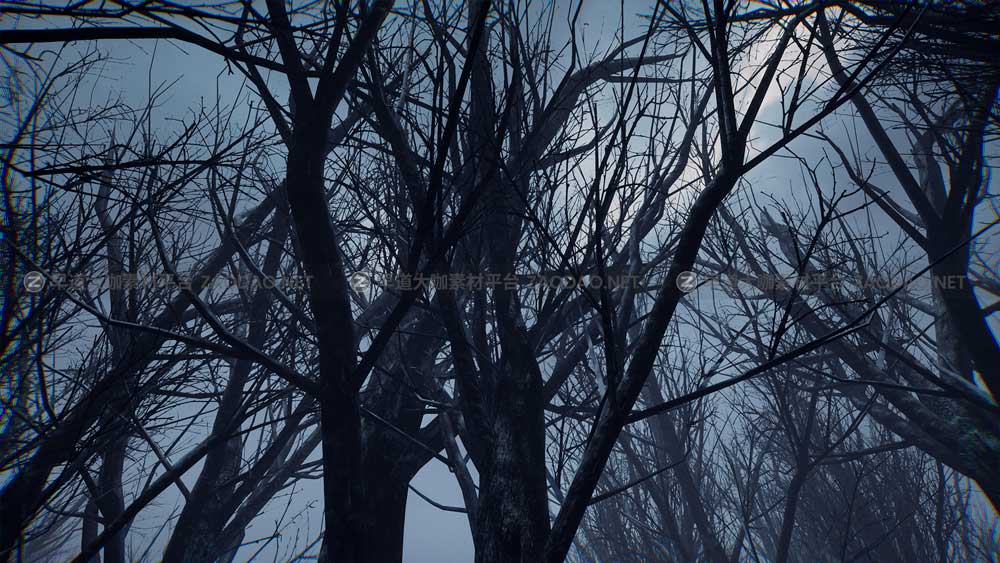 UE素材 暗黑风格灌木丛沼泽地场景3D模型设计素材 Unreal Engine – Bleak Winter Park插图1
