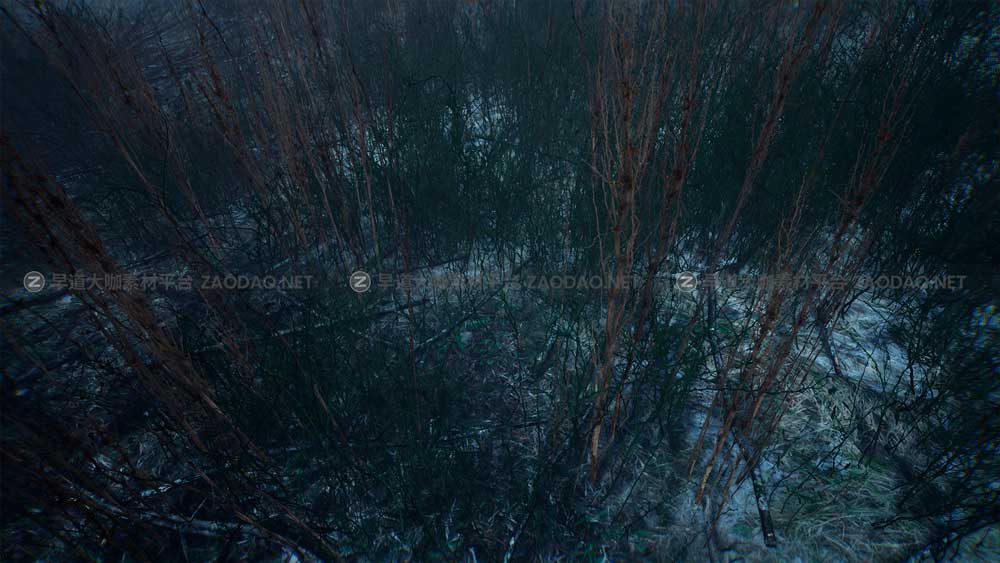 UE素材 暗黑风格灌木丛沼泽地场景3D模型设计素材 Unreal Engine – Bleak Winter Park插图3