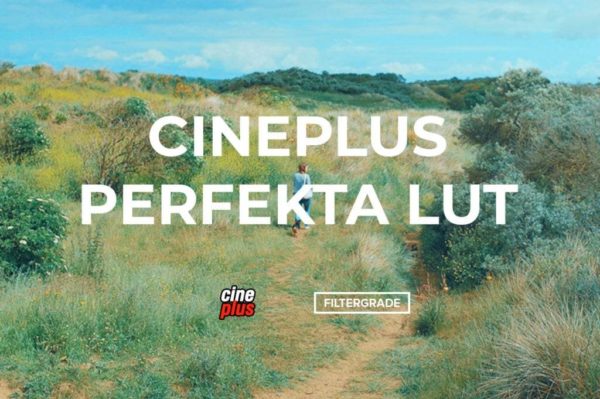 电影质感婚礼摄影视频灰片还原调色LUT预设 Cineplus – Perfekta LUT