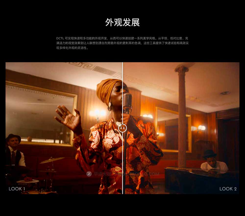 [更新v3版本] 达芬奇插件 柯达富士电影胶片模拟达芬奇调色DCTL节点预设 Mononodes – LOOK / LAB / PRINT DCTLS v3插图5