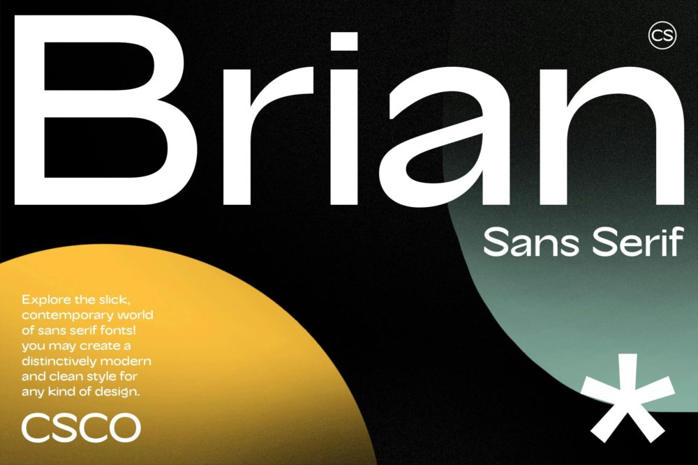 现代时尚美学杂志海报徽标网站设计无衬线英文字体安装包 CS Brian – Contemporary Font插图