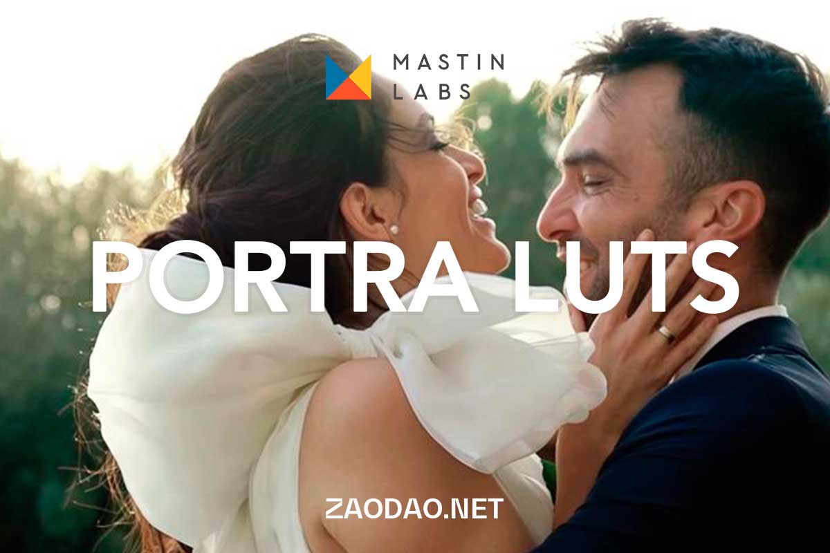 电影美感柯达塔炮160/400/800胶片视频色彩LUTs调色预设 Mastin Labs Portra Original Video LUTs插图 电影美感柯达塔炮160/400/800胶片视频色彩LUTs调色预设 Mastin Labs Portra Original Video LUTs插图