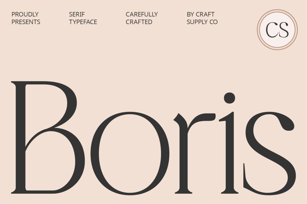 现代时尚品牌杂志海报设计衬线英文字体安装包 CS Boris – Elegant Font插图