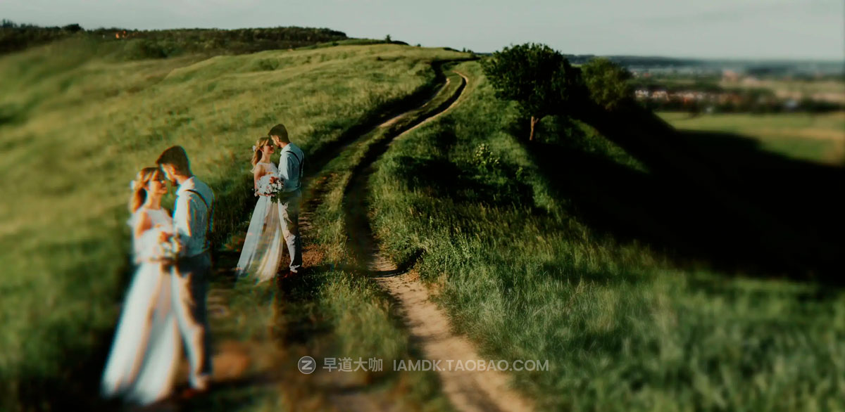 Fcpx插件 浪漫永恒婚礼视频标题动画转场特效LUT调色预设包 MotionVFX – mWedding for Final Cut插图9 Fcpx插件 浪漫永恒婚礼视频标题动画转场特效LUT调色预设包 MotionVFX – mWedding for Final Cut插图9
