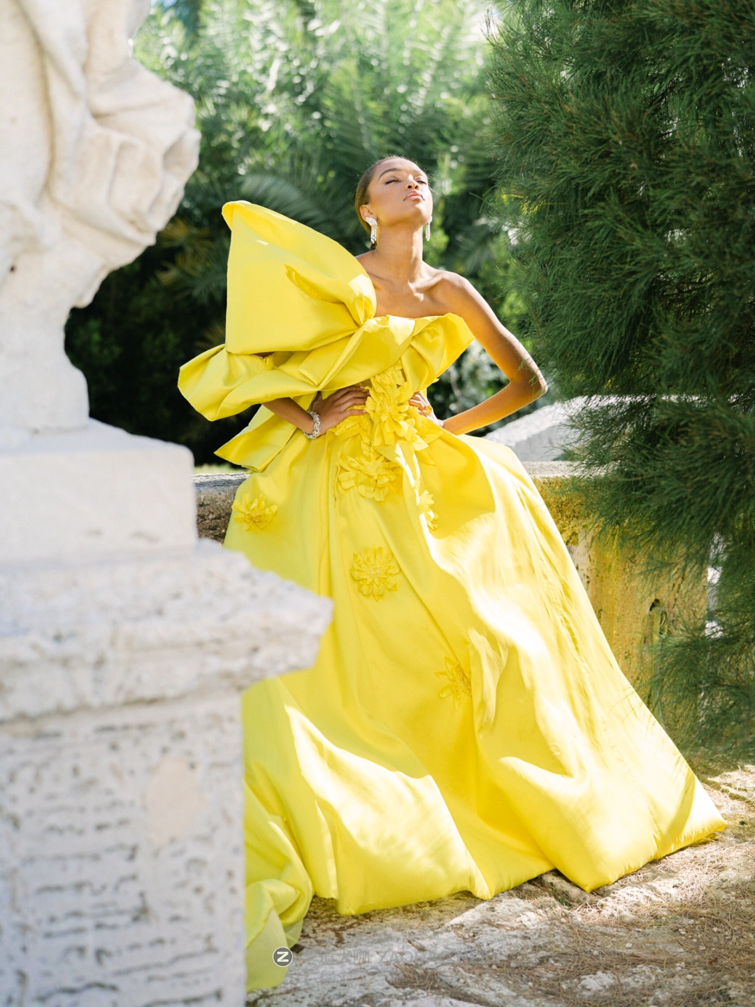 202408178w5av 202408178w5av