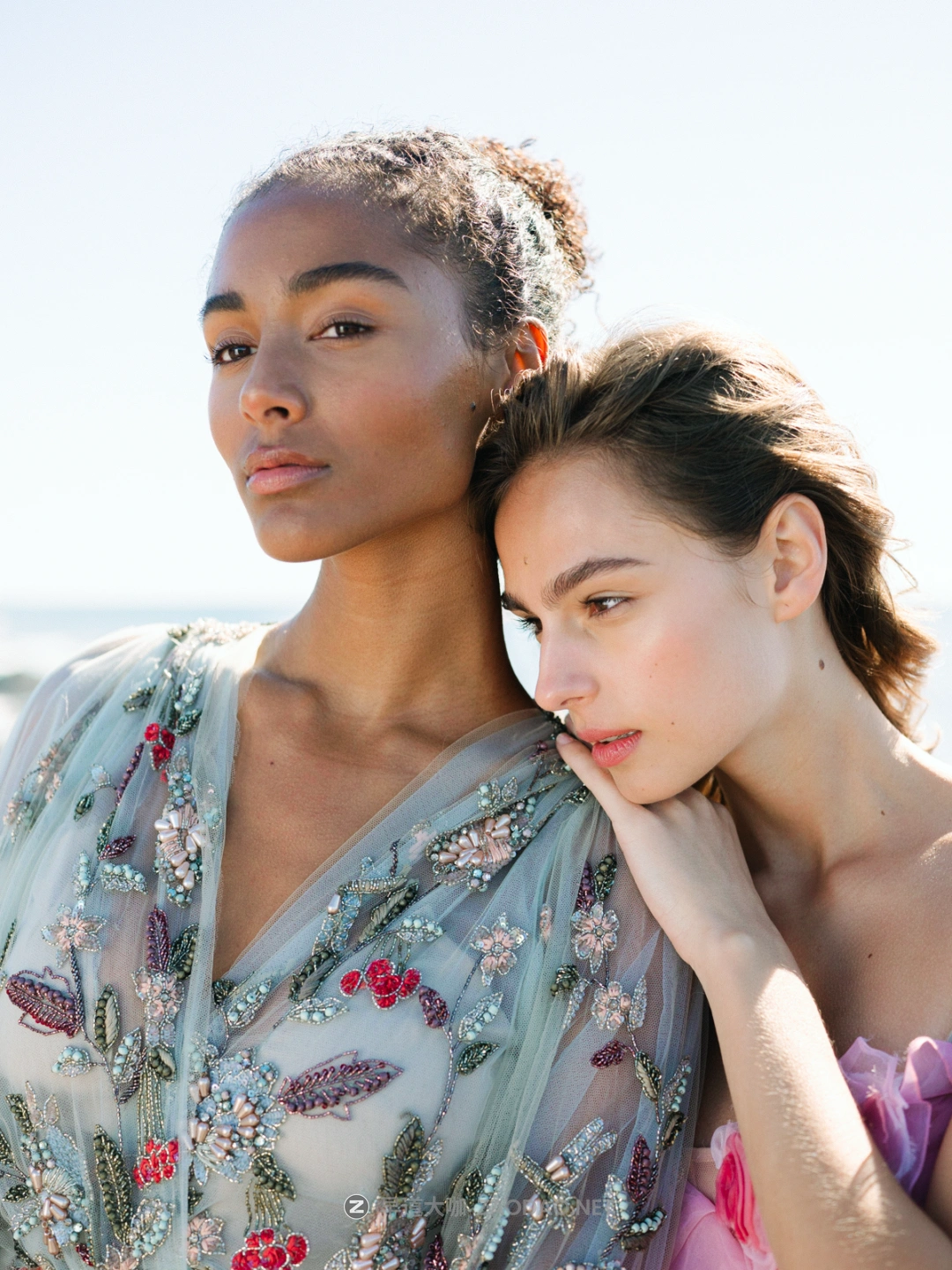 20240817y29bk 20240817y29bk