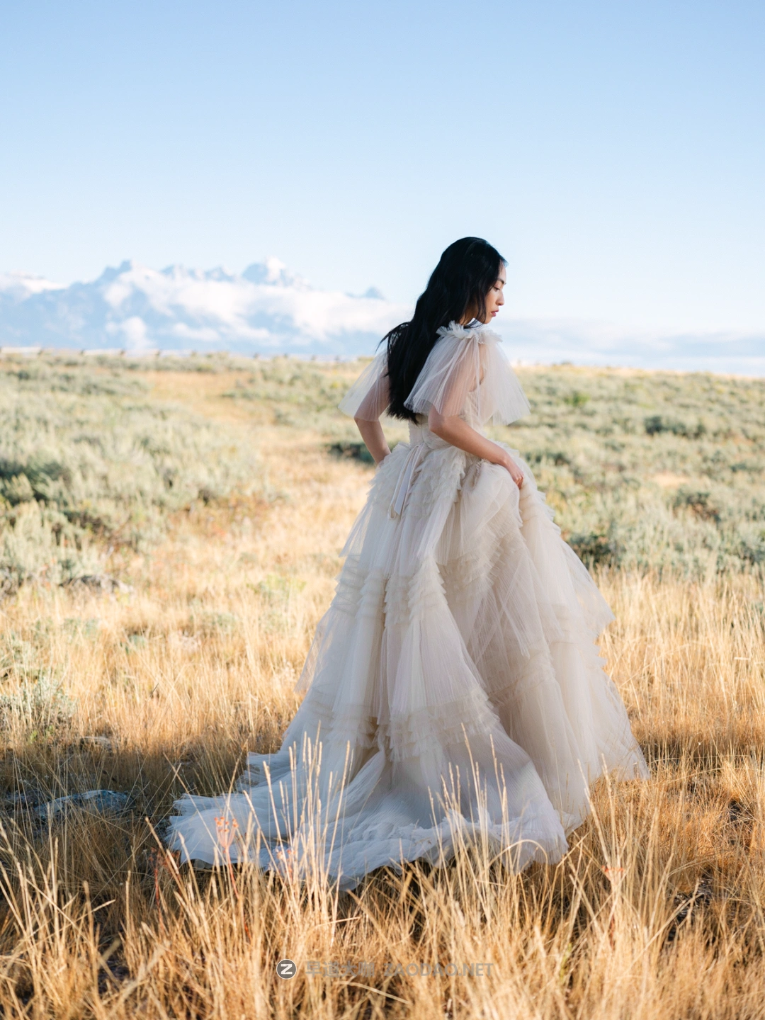 20240817ysd5f 20240817ysd5f