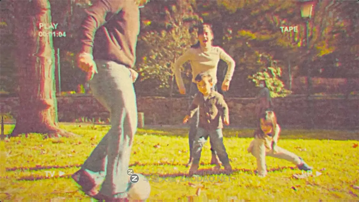 达芬奇素材 复古怀旧VHS风格失真噪点色差摄影录像机边框叠加视频特效 VHS Effects插图5 达芬奇素材 复古怀旧VHS风格失真噪点色差摄影录像机边框叠加视频特效 VHS Effects插图5