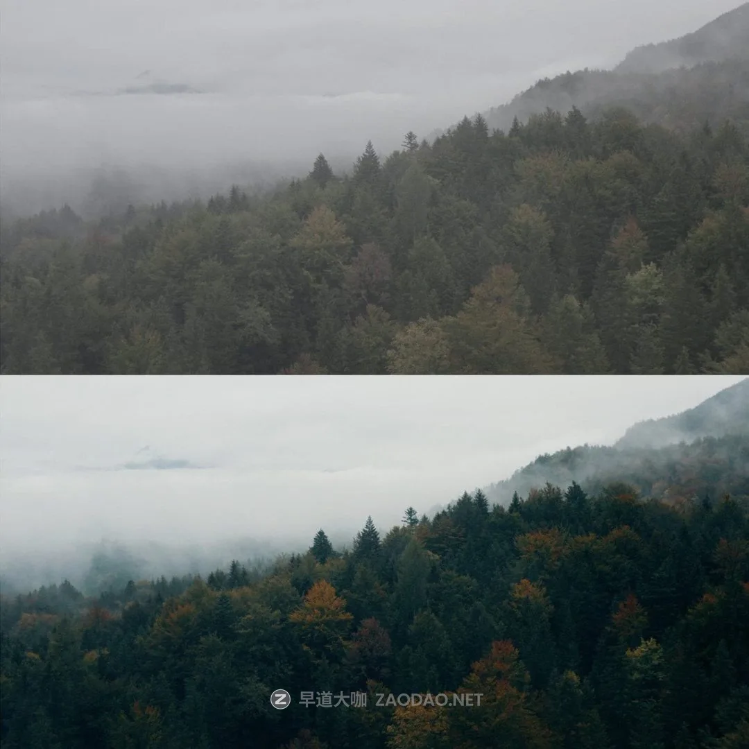 20240916hguxl 20240916hguxl