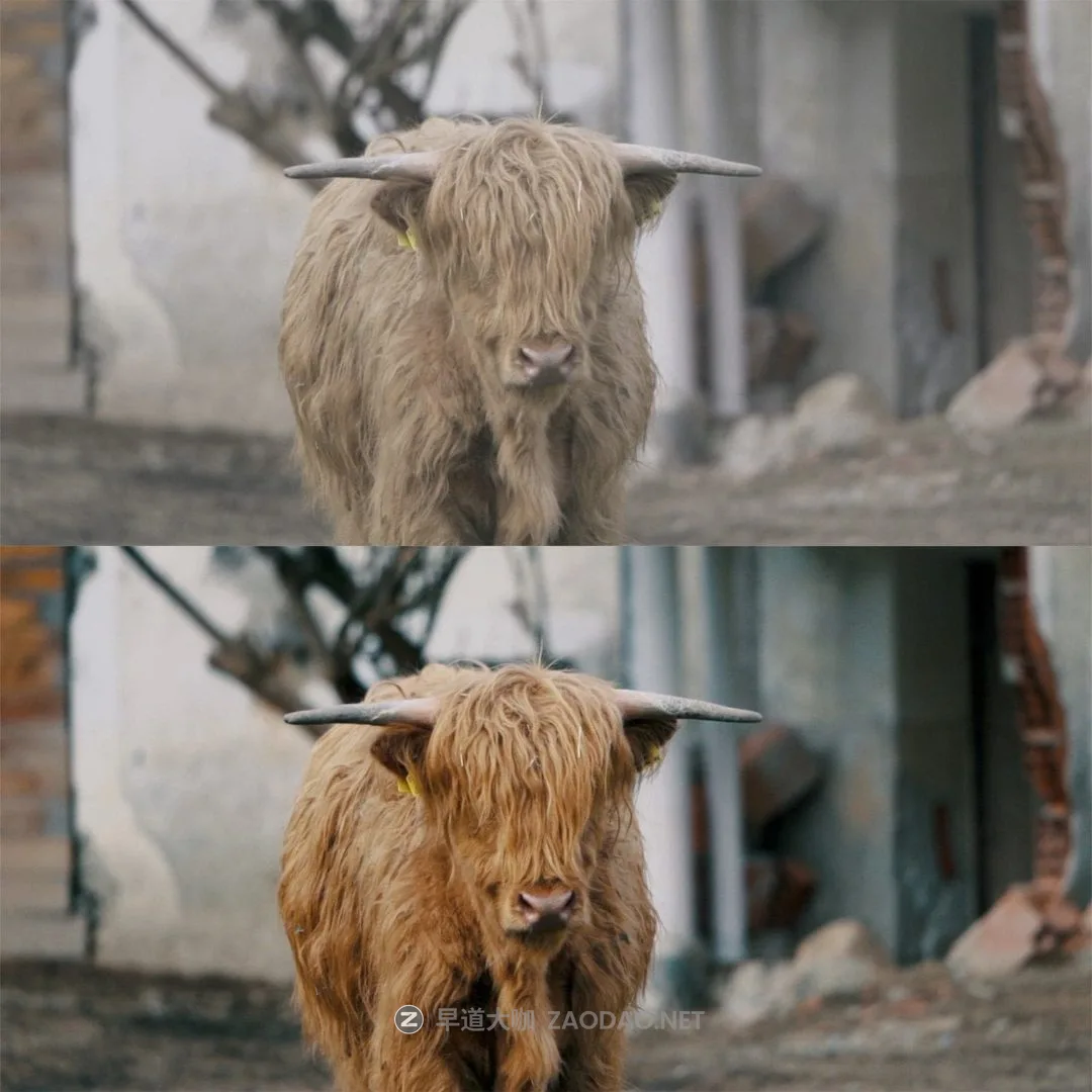 20240916x41n9 20240916x41n9